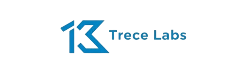 Logo de Trece Labs - Agencia de Marketing Digital y Arquitectura Web